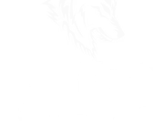AeroWolf